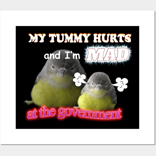 My Tummy Hurts And I'm Mad At The Government Meme Wall Art by swankyswamprat